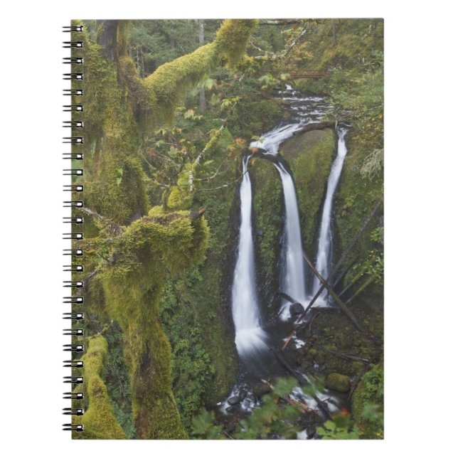 Cuaderno Cataratas triples, desfiladero del río Columbia (Frente)