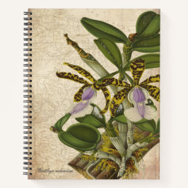 Cuaderno Cattleya Aclandiae Portátil Orquídea - Moda
