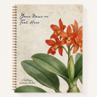 Cuaderno Cattleya Cernua Orquídea Floral Botánica Vintage