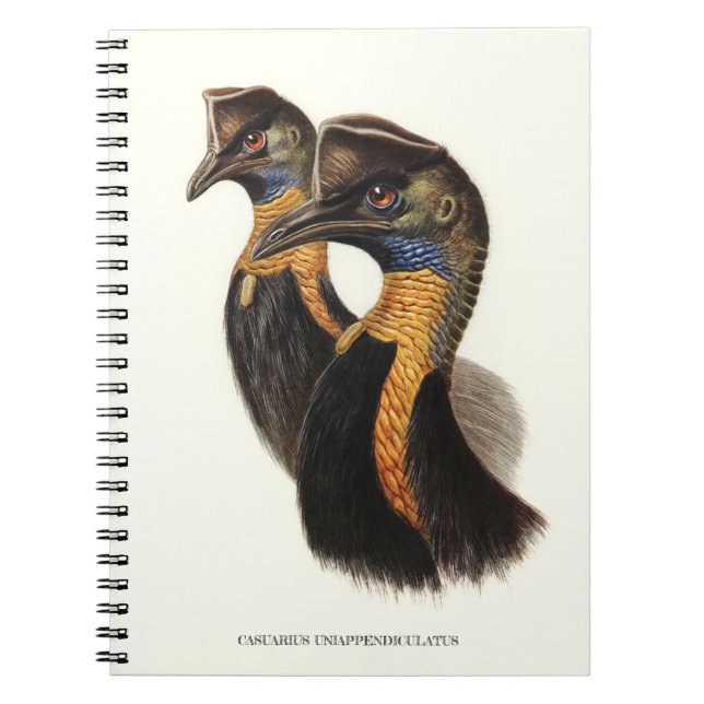 Cuaderno Causas del norte, aves de cosecha (Frente)