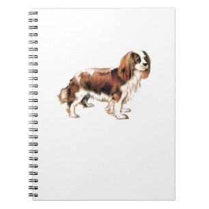Cuaderno Cavalier King Charles Spaniel