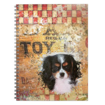 Cavalier King Charles Spaniel
