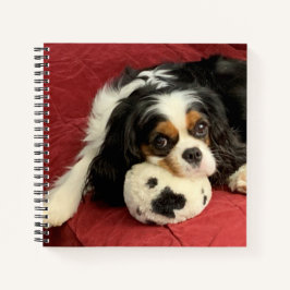 Cuaderno Cavalier King Charles Spaniel Pequeño bloc de nota