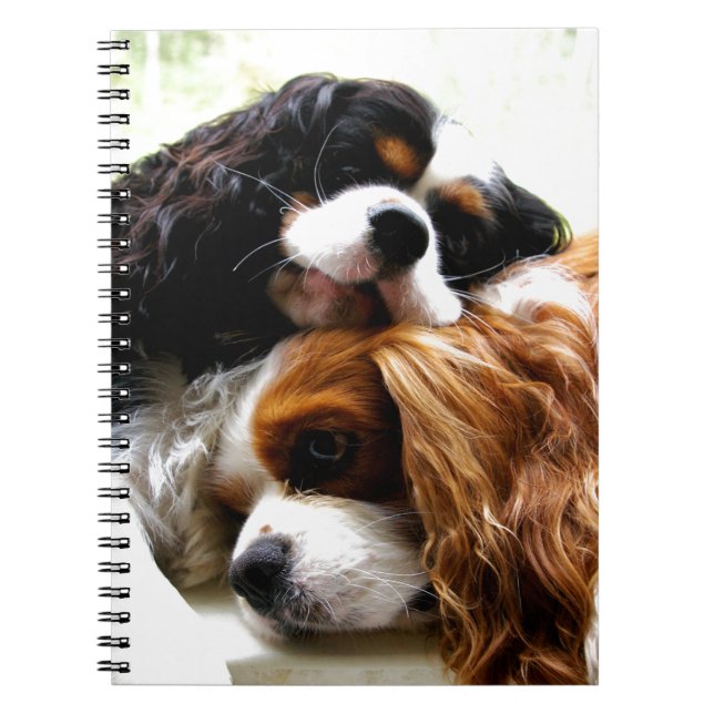 Cuaderno Cavaliers de los hermanos (Frente)