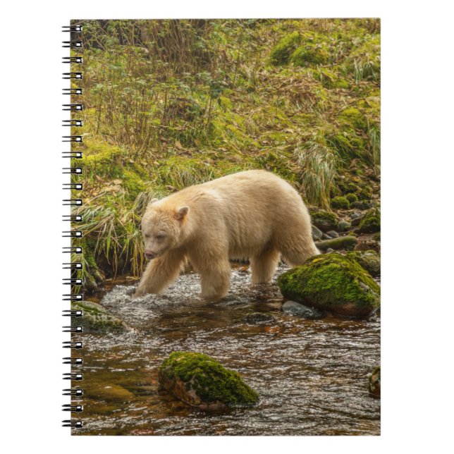 Cuaderno Caza de osos de espíritus blancos para peces en ar (Frente)