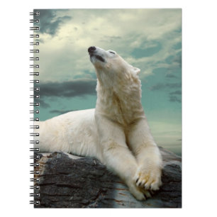 Cuaderno Cazador blanco del oso polar en roca