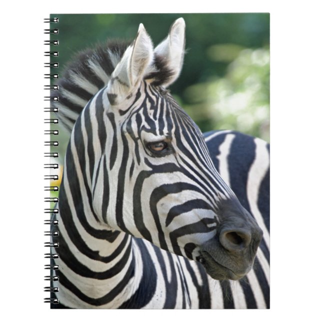 Cuaderno Cebra 001 (Frente)