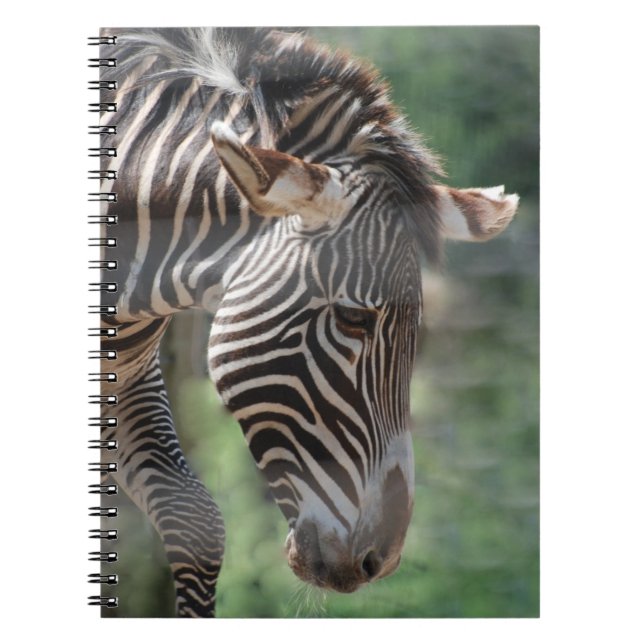 Cuaderno Cebra adorable (Frente)