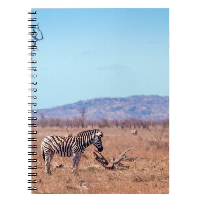 Cuaderno Cebra de llanuras en el parque nacional de Kruger, (Frente)
