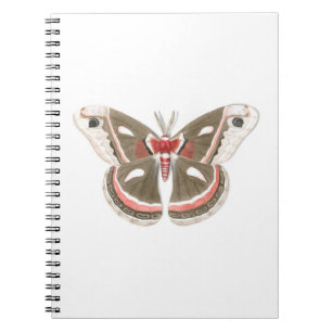 Cuaderno Cecropia Moth Notebook