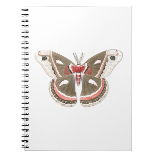 Cuaderno Cecropia Moth Notebook (Frente)