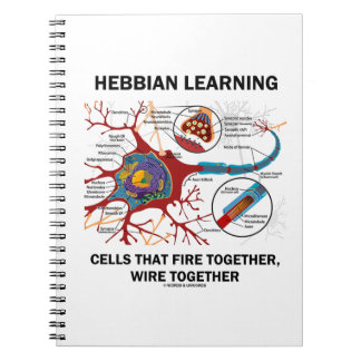 Cuaderno Células De Aprendizaje Hebbianas Que Disparan Junt