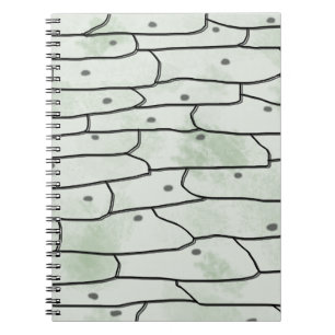 Cuaderno Células de Cebolla