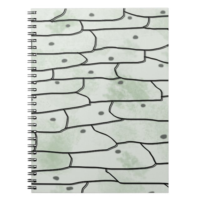 Cuaderno Células de Cebolla (Frente)