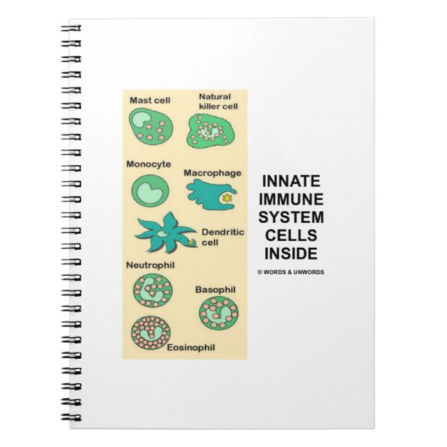 Cuaderno Células Del Sistema Inmunitario Dentro De La Inmun (Frente)