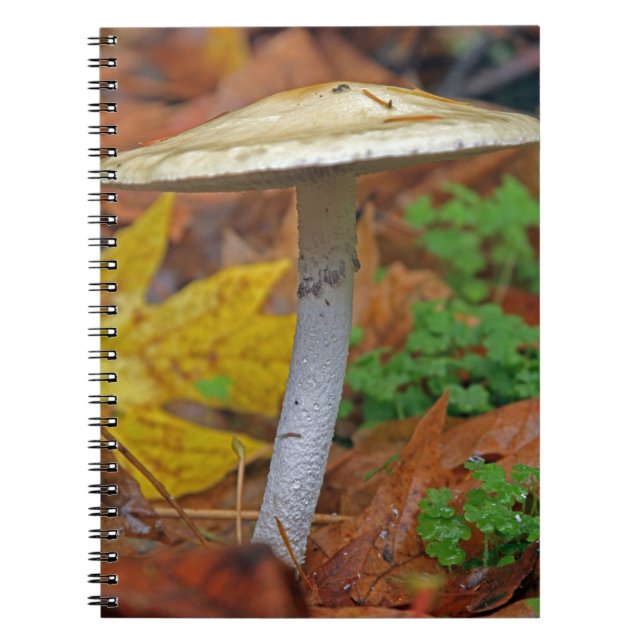 Cuaderno "Centinela de otoño: El salvaje se queda solo" (Frente)