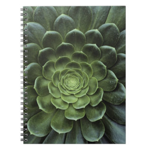 Cuaderno Centro del cactus
