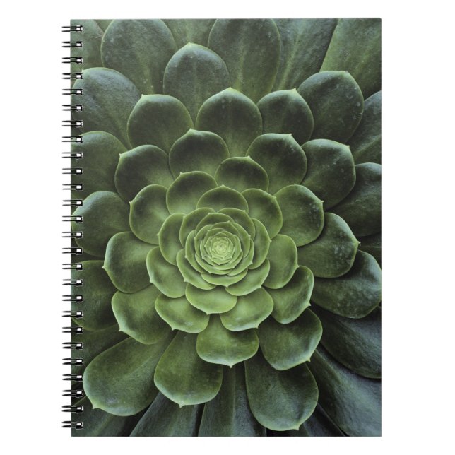 Cuaderno Centro del cactus (Frente)