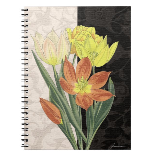 Cuaderno Centro II (Frente)