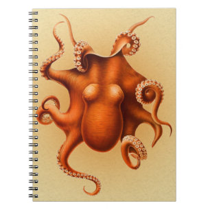 Cuaderno Cephalapod Vintage
