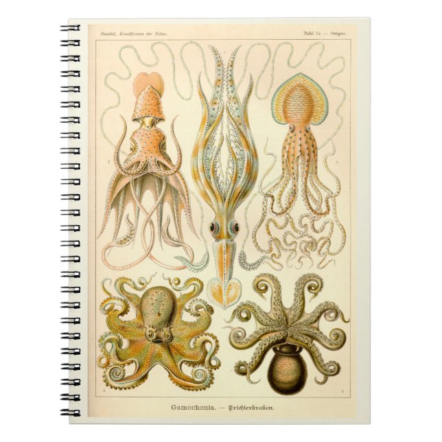 Cuaderno Cephalopod Octopus Squid (Frente)