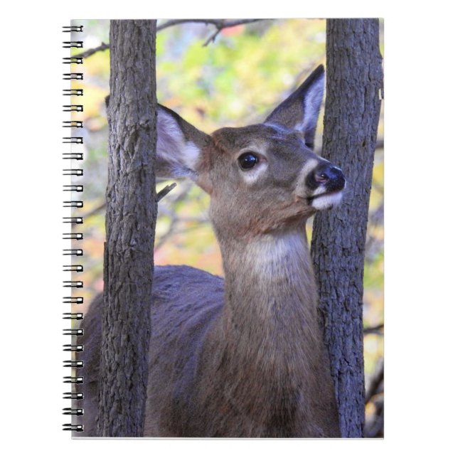 Cuaderno Cercano al venado blanco (Frente)