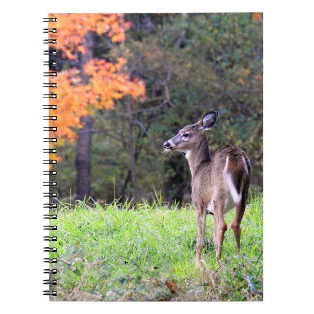 Cuaderno Cercano al venado blanco (Frente)