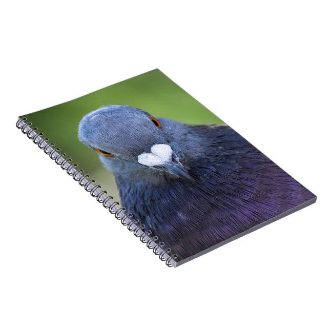 Cuaderno Cerdo (Lado Derecho)
