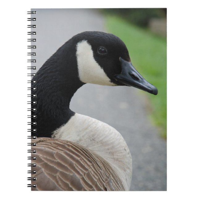 Cuaderno Cerdo de Canadá (Frente)