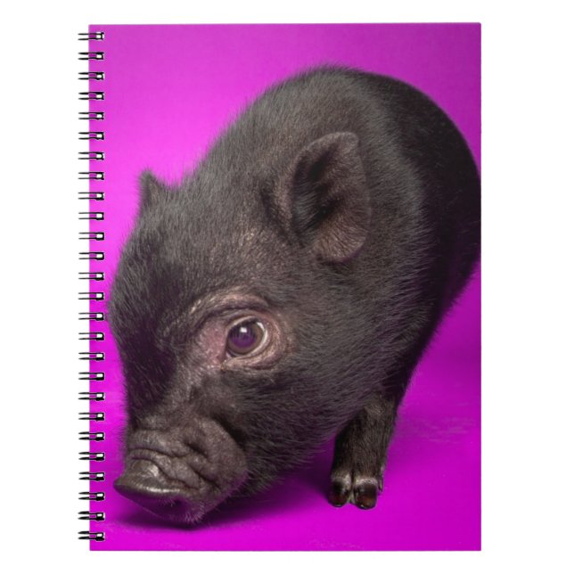 Cuaderno Cerdo negro del bebé (Frente)