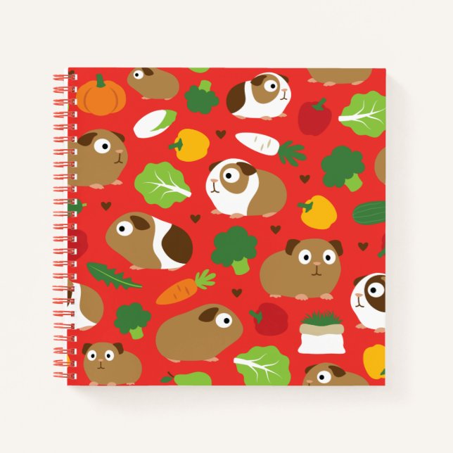 Cuaderno Cerdos de Guinea y sus tratamientos (Anverso)