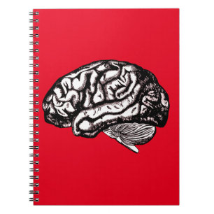 Cuaderno cerebro humano