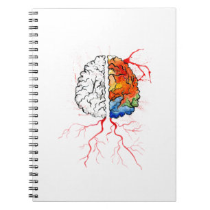 Cuaderno Cerebro humano del arco iris