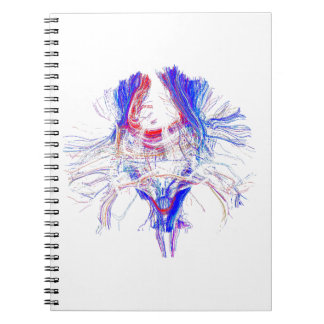 Cuaderno Cerebro y Tracktography