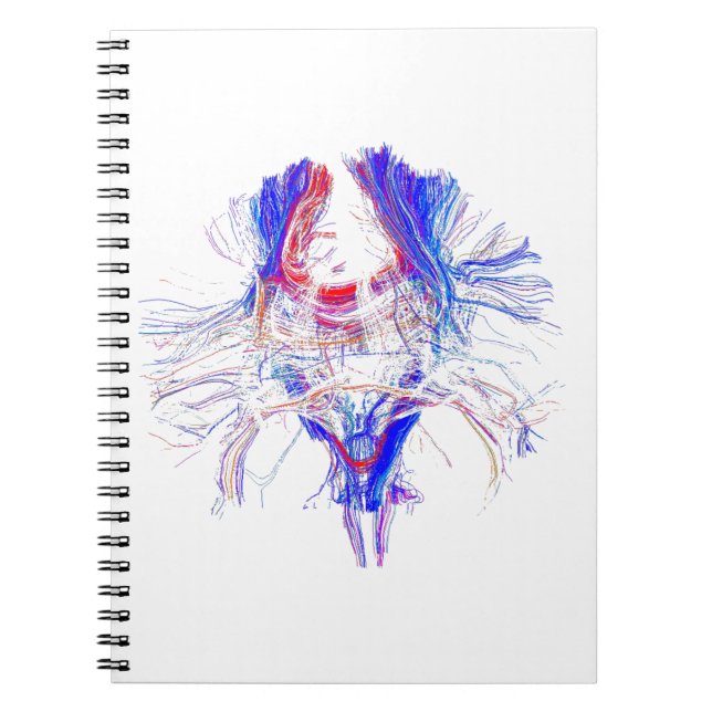 Cuaderno Cerebro y Tracktography (Frente)