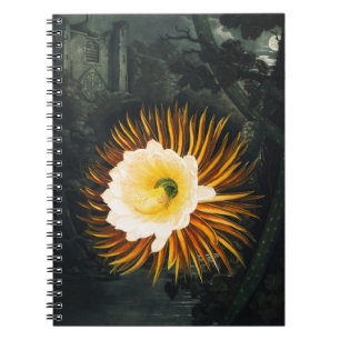 Cuaderno Cereus Nocturno Florecedor Vintage Arte Gótico
