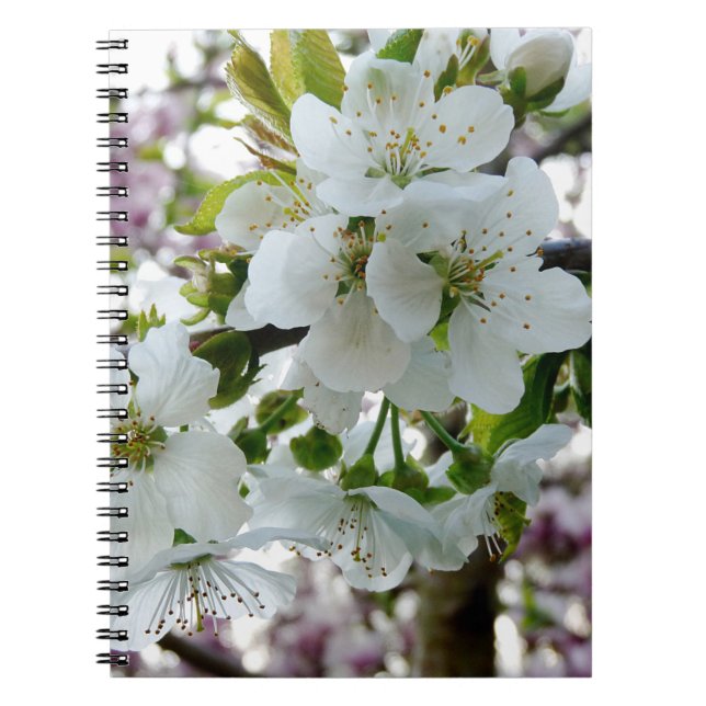 Cuaderno Cerezo en flor (Frente)