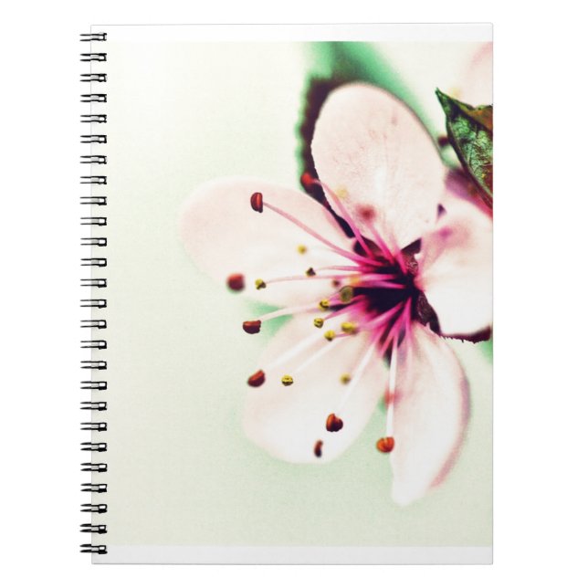 Cuaderno Cerezo en flor (Frente)
