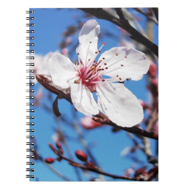 Cuaderno Cerezo en flor 2 (Frente)