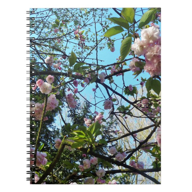 Cuaderno Cerezo florido, florecimiento, naturaleza, flor ro (Frente)