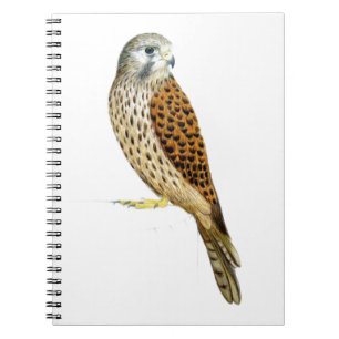 Cuaderno Cernícalo 2011