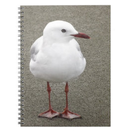 Cuaderno Cerrar la gaviota