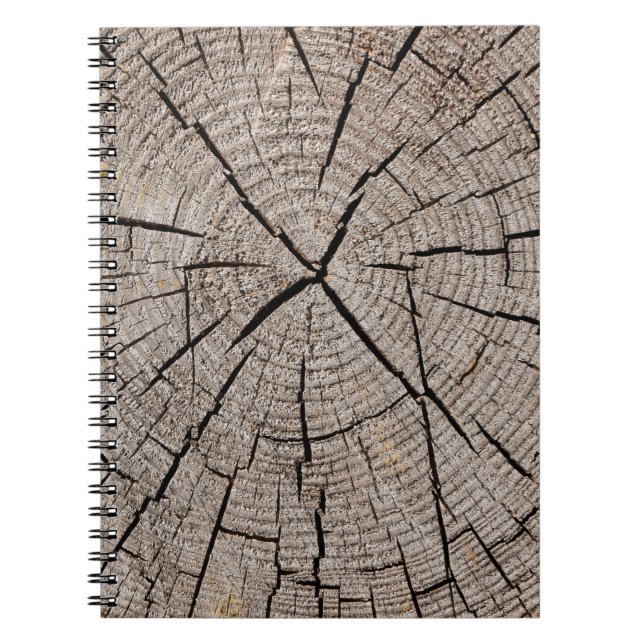 Cuaderno Cerrar la textura de fondo gris de la vieja meteor (Frente)