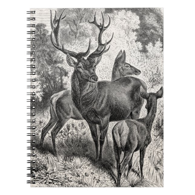 Cuaderno Cervatillo de la gama del macho del ilustracion (Frente)