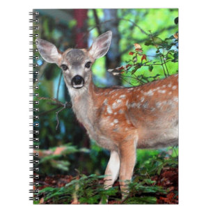 Cuaderno Cervatillo moteado
