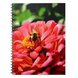 Cuaderno Cerveza y zinnia de coral