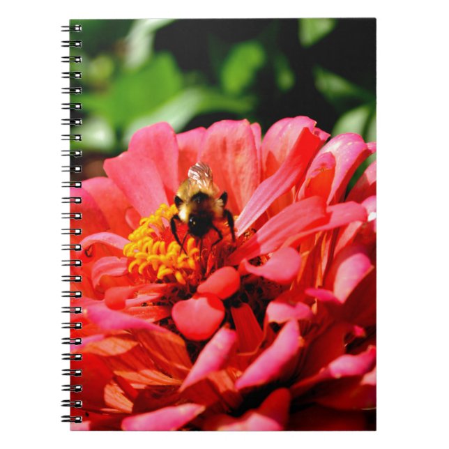 Cuaderno Cerveza y zinnia de coral (Frente)