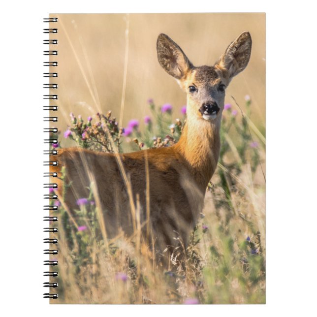 Cuaderno Cervo joven en pradera (Frente)