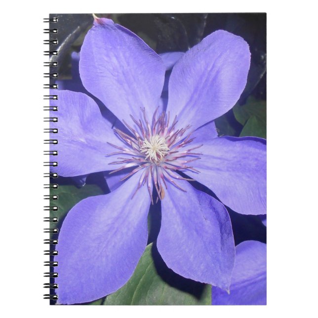 Cuaderno Césarine (Frente)