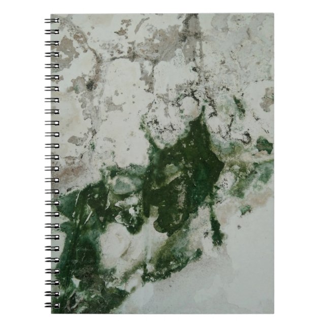 Cuaderno Chaina (Frente)